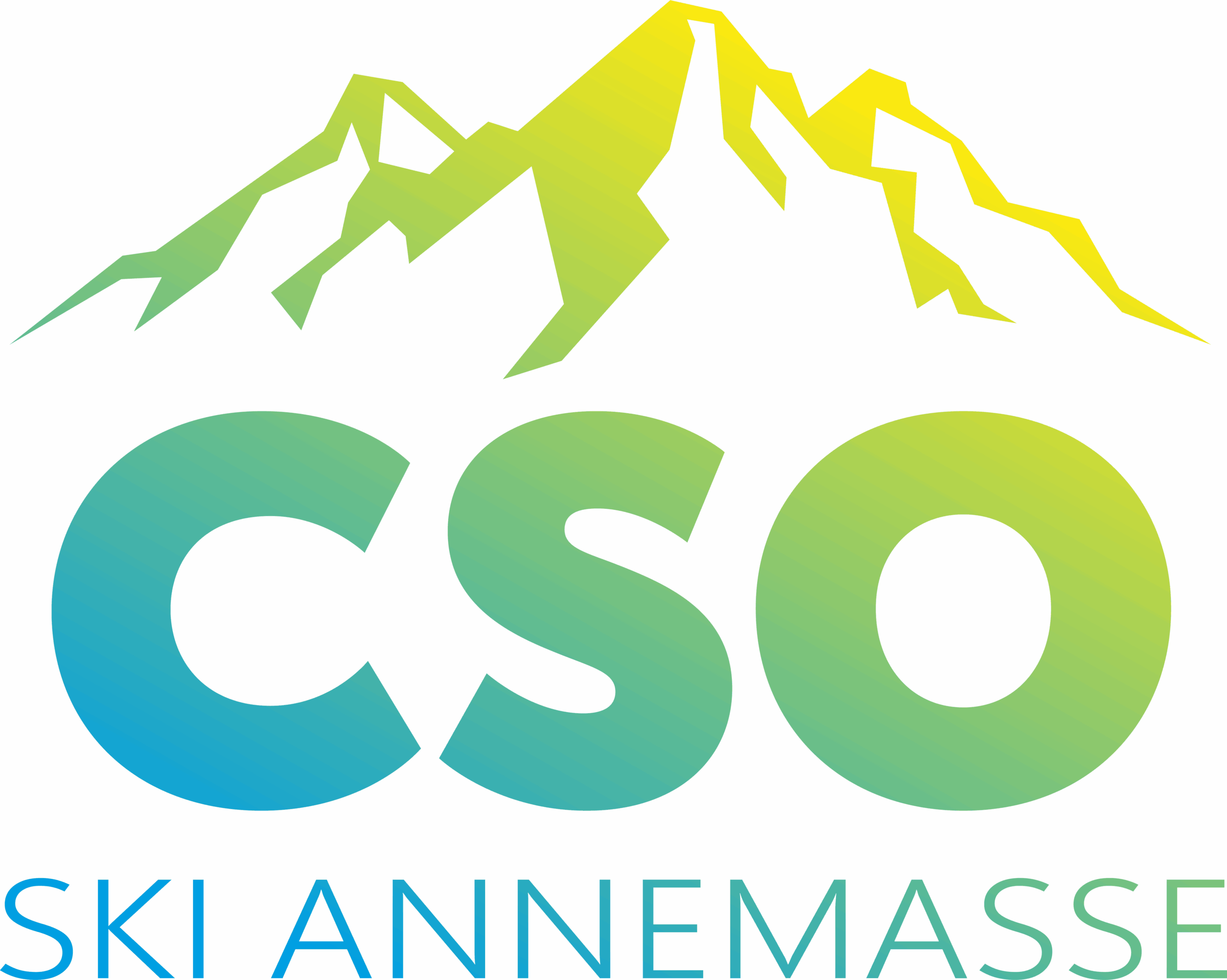 Logo CSO